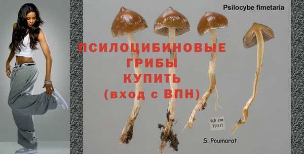 мет Нея