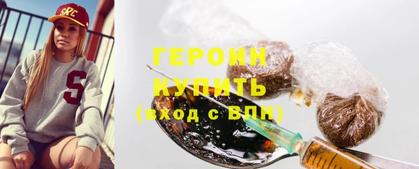 индика Новозыбков