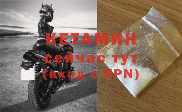 индика Новозыбков