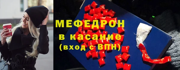индика Новозыбков