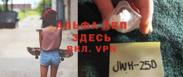 индика Новозыбков