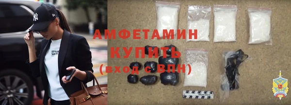 индика Новозыбков