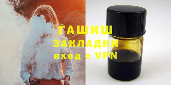 индика Новозыбков