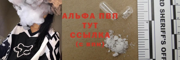 индика Новозыбков