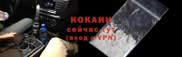 индика Новозыбков