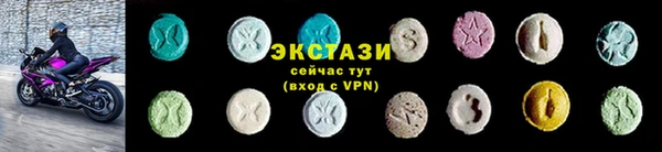индика Новозыбков