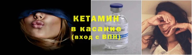 индика Новозыбков