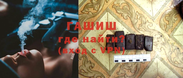 индика Новозыбков