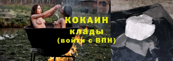 индика Новозыбков