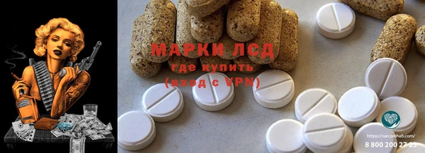 молекула духа Новодвинск