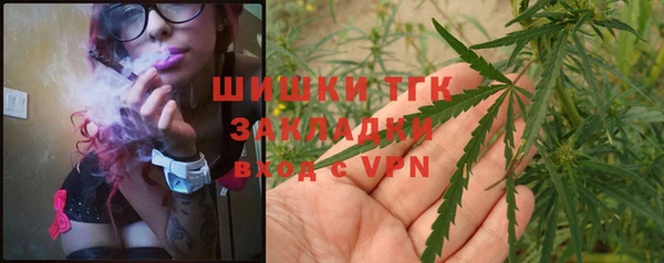 молекула духа Новодвинск
