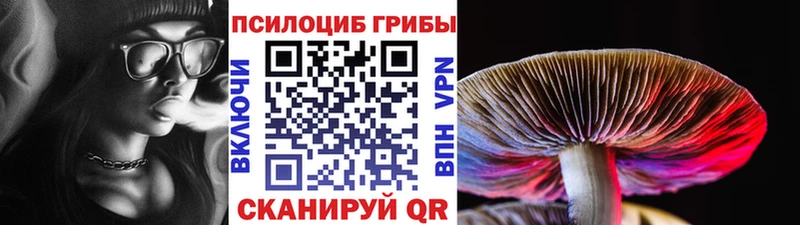 Псилоцибиновые грибы GOLDEN TEACHER  наркотики  Зеленоградск 